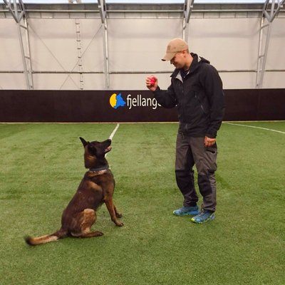 Bilde av Jonas Riise Johansen